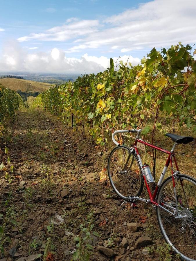 "La Casa Di Maria Luce" Con Terrazza Panoramica Lejlighed Gaiole in Chianti Eksteriør billede